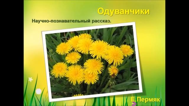 Одуванчики По Е Пермяку смотреть онлайн