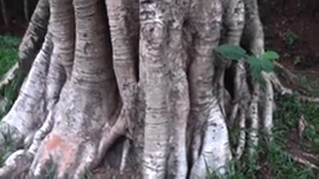 Есть Только Я - Сокровенная Тайна Человека смотреть онлайн