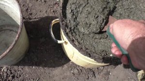 Как я делаю весеннюю подкормку клубники куриным пометом