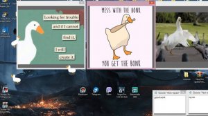 ГУСЬ НА РАБОЧЕМ СТОЛЕ!