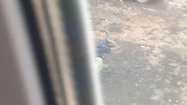 чумачечий на баллоне смотреть онлайн