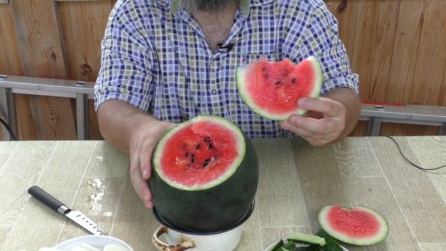 Большие и вкусные арбузы растут даже в Подмосковье смотреть онлайн