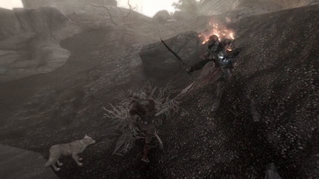 Falx Carius VS Ebony Warrior - Skyrim смотреть онлайн