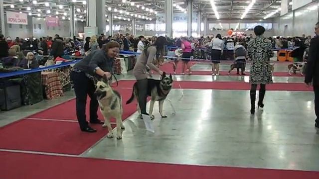 MVI 0048 смотреть онлайн