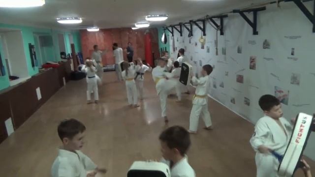 Тренировка 07 ноября 2019 года. Группа №3 Киокусинкай Каратэ Климовск смотреть онлайн