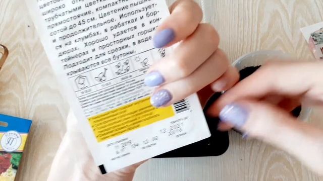 Львиный зев и Цинерария посев смотреть онлайн