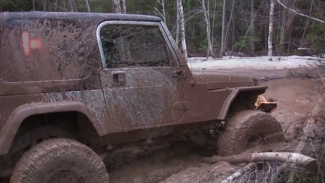 WHAT A SHITSHOW TRAIL! смотреть онлайн
