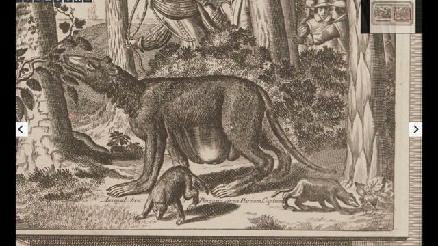 книга с гравюрами про америку. гравюры