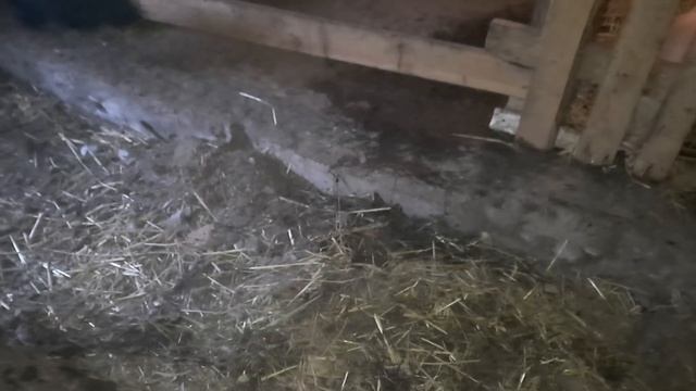 Все во благо и для Приумножения! смотреть онлайн