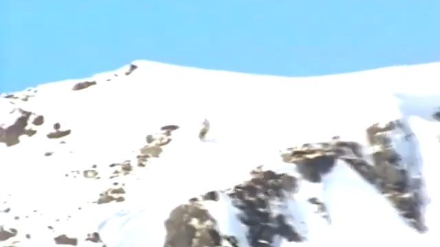 Snowboarding History Forum The Resistance смотреть онлайн