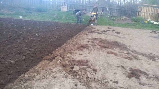 Весенняя вспашка плугом на мотоблоке (Целина 8.0 л.с. ) смотреть онлайн