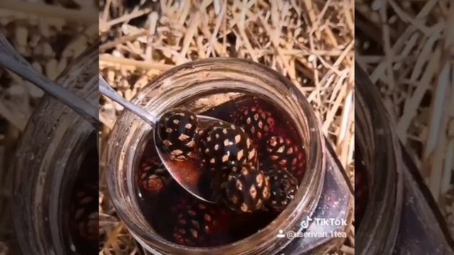 Съедобные шишки смотреть онлайн