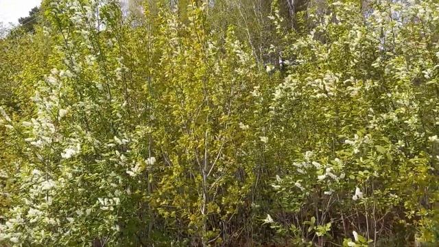 @Гусариха // Рум Тур дома//#мнение смотреть онлайн