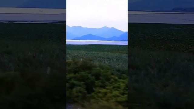 поезд Бар - Белград смотреть онлайн