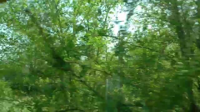 (143)г.Сем-ск.Прогулка на Туристическую. смотреть онлайн