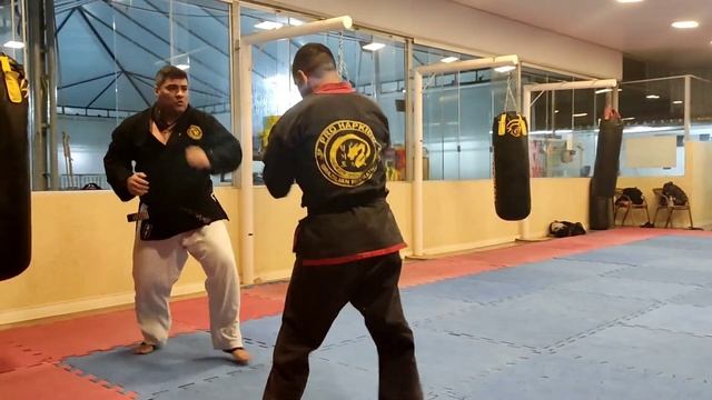 HAPKIDO Treino de Balchauderion смотреть онлайн