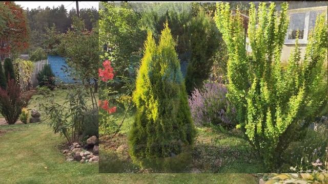 Кулинарные Мастер-Классы