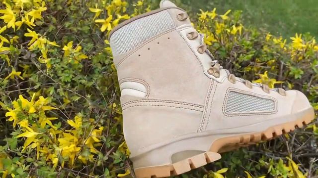 Тихий обзор тактических ботинок Lowa Elite Desert