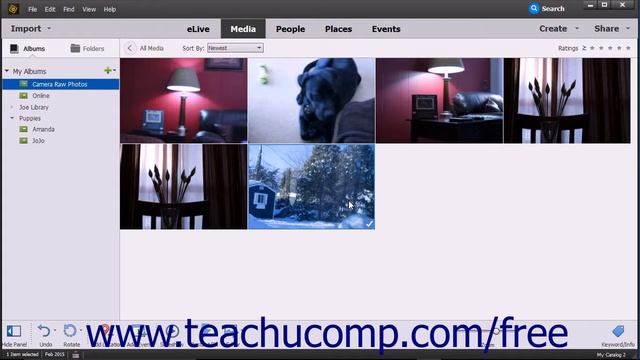 Photoshop Elements 15 Tutorial About Processing Camera Raw Files Adobe Training смотреть онлайн