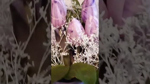 Тает тает тает снег на яву , а не во сне! смотреть онлайн