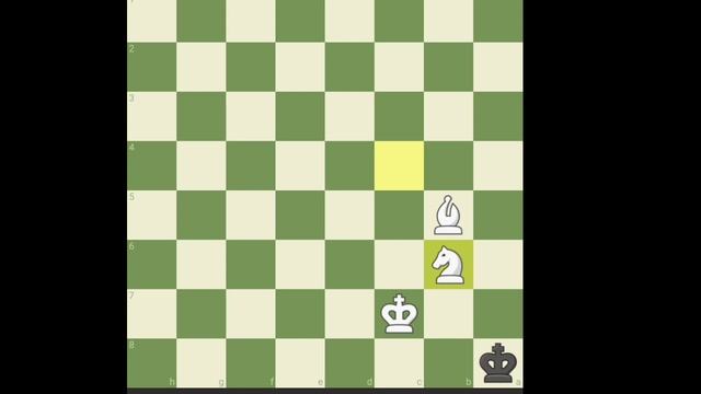 How to check Checkmate with Kight and Bishop | Most difficult End Game in chess | Knight vs Pawn смотреть онлайн