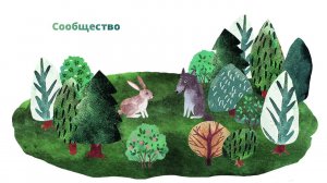 41. Природные сообщества. Часть 2