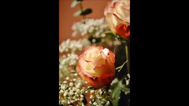 Nikon D3100 - Pictures (sample) смотреть онлайн