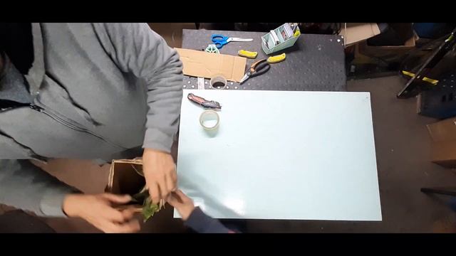 Упаковка саженцев. Азимина трилоба. Часть 2 смотреть онлайн