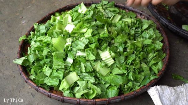 How to harvest vegetable garden, gardening, garden harvest - Ep.112 |  ly thi ca