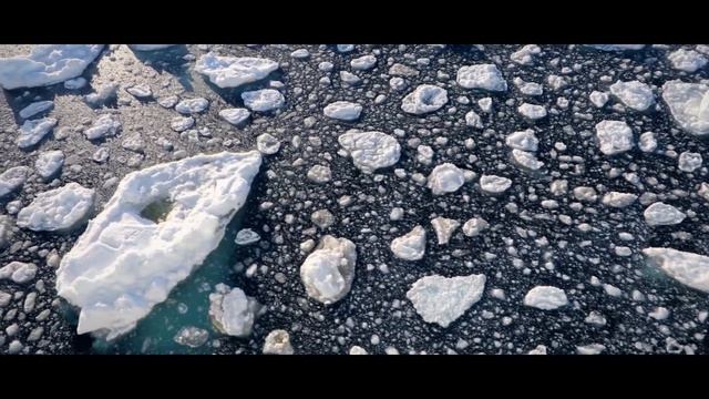 В ледяных объятиях Южного континента смотреть онлайн