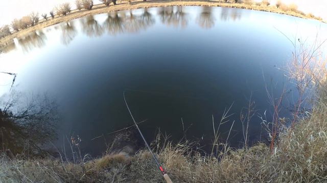 Первая щука 26.11.2015 смотреть онлайн