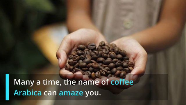 Arabica coffee, Who named it? смотреть онлайн