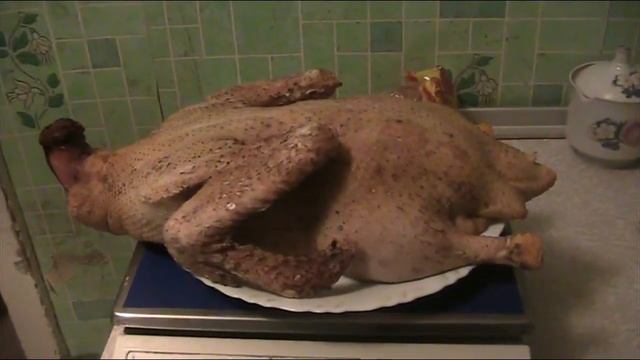 Забой мускусной утки в возрасте 2 х месяцев // Секреты хороших урожаев. смотреть онлайн