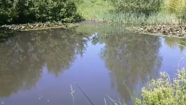 Pêche du 9 et 10 juin смотреть онлайн