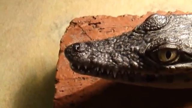 Гена Гражданский смотреть онлайн