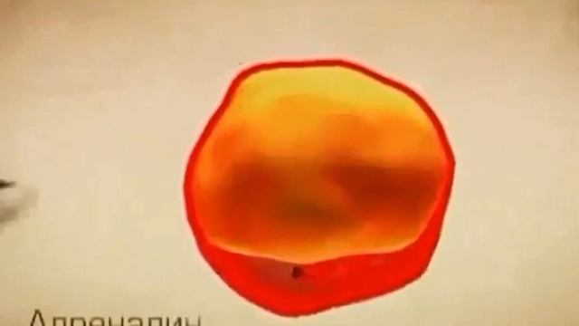 Механизм расщепления жировой клетки простыми словами смотреть онлайн