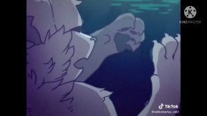 коты - воители/сборник/Тик Ток/