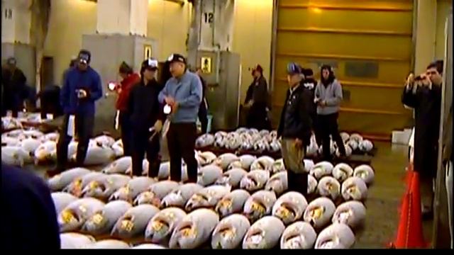 Welcome to Tsukiji (documentary) смотреть онлайн