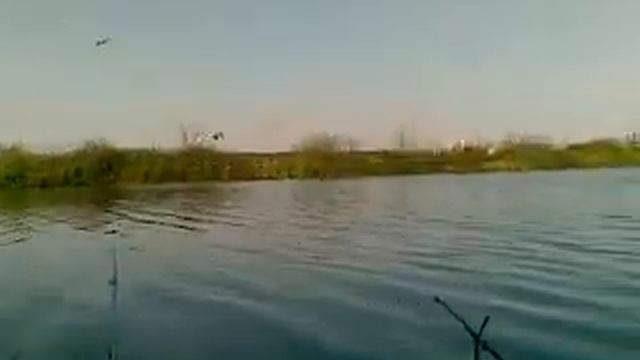 Рыбалка оз.Салагоша г.Рязань лето 2010 смотреть онлайн