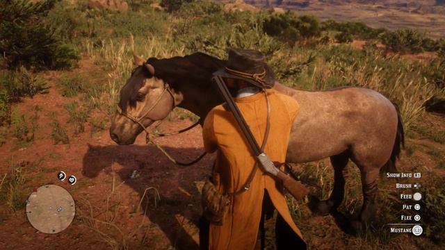 EXTREMELY RARE MUSTANG HORSE TIGER STRIPED BAY - RED DEAD REDEMPTION 2! (BEST HORSES) (LOCATION) смотреть онлайн
