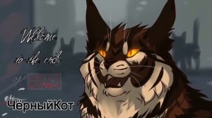 Коты Воители Бич и Синяя Звезда - Клип Daddy (Заказ)