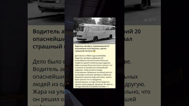 Деяние водителя автобуса с опасными пациентами.R смотреть онлайн