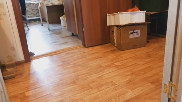 Страусы очень любят бегать:))) смотреть онлайн