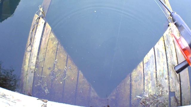 ПРОГУЛКА на ЛОДОЧНУЮ СТАНЦИЮ!!! смотреть онлайн