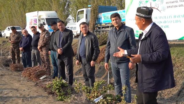 Тайлок. Богизогон агрофирма. Яшил макон проект смотреть онлайн