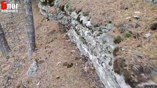 БУРАБАЙ (БОРОВОЕ) [2020г.] 30 КИЛОМЕТРОВ ПЕШКОМ ПО ГОРАМ!1часть. Национальный Парк Бурабай.(Burabay смотреть онлайн