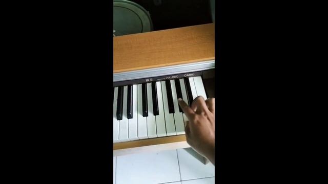 Digital Piano CASIO Privia PX800 смотреть онлайн