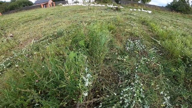 Что случилось с первым прудом? Выкосил поле. [Жизнь в деревне] смотреть онлайн