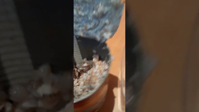 Это ужас.. Гречневая каша с говядиной. смотреть онлайн