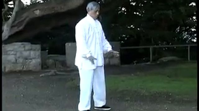 Цигун Дикого гуся (Даянь цигун - Dayan Qigong) - Part 4